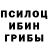Псилоцибиновые грибы мицелий Vlad Astashov