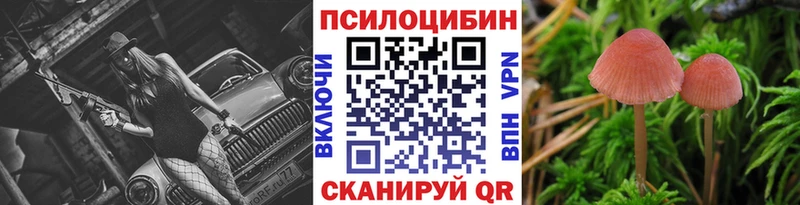 Купить где  Киржач  Псилоцибиновые грибы мицелий 
